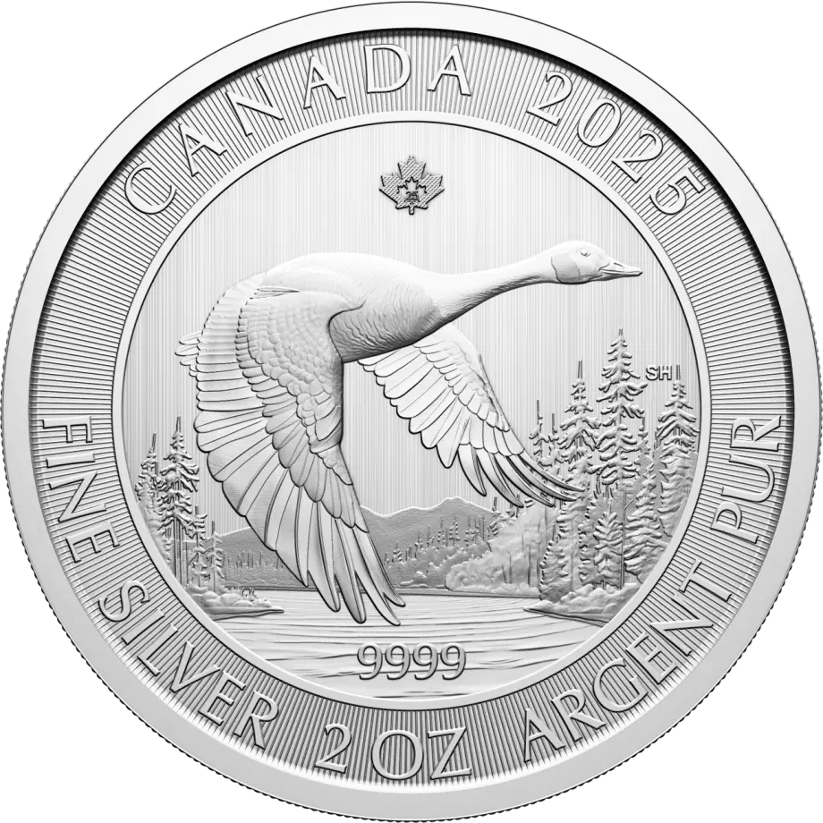 2oz Canada Goose Silver Coin Silver