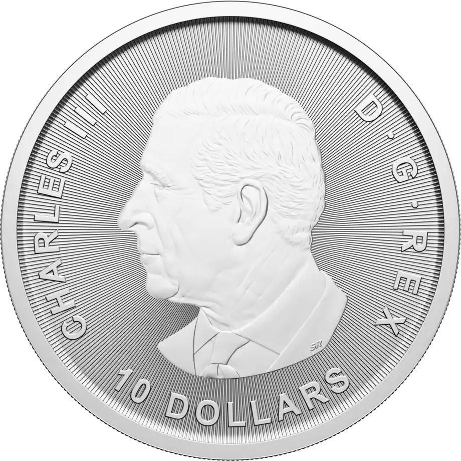 2oz Canada Goose Silver Coin Silver