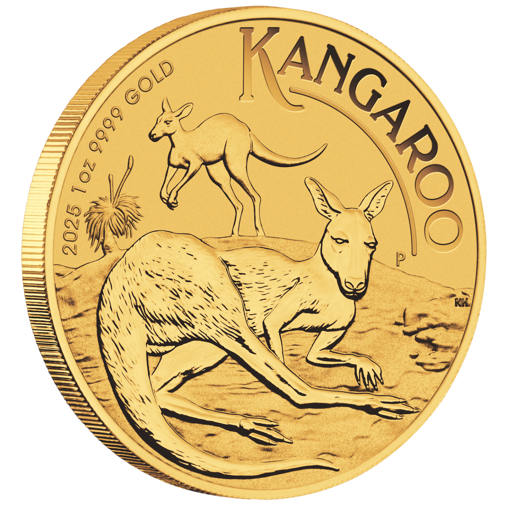 1oz Perth Mint Kangaroo Gold Coin 9999 Gold 3 1oz Perth Mint Kangaroo Gold Coin 9999 Gold